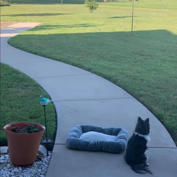 Hello friends! - Picture 4 of 16